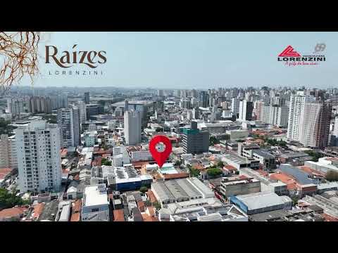 Raízes