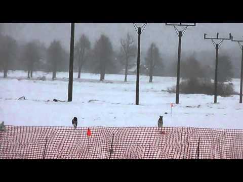 NordCup Sněžník 2012 - Latisha (wh) vs. Buthayna (red)