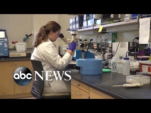 醫生如何對抗日益嚴重的冠狀病毒大流行? (How doctors are fighting the growing coronavirus pandemic)