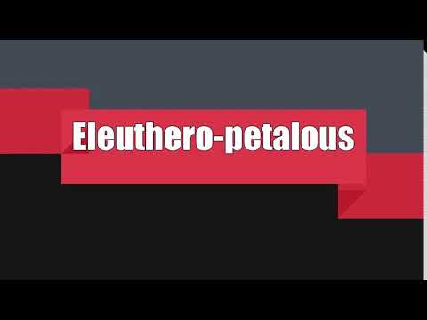 How to Pronounce Eleuthero-petalous