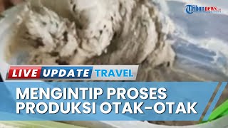 Rumah Produksi Otak-otak Lampung Mas Alwi, Per Hari Produksi 3000 Otak-otak dari Ikan Blue Marlin