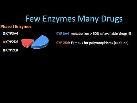 Phase II Metabolism - Pharmacology Lect 8