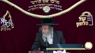 אידיש - הרב אלימלך בידרמן | רשב"י פותח שערים! הכנה ללג בעומר פרשת אמור תשפ"ו/ לשיעור בעברית בתיאור👇🏻