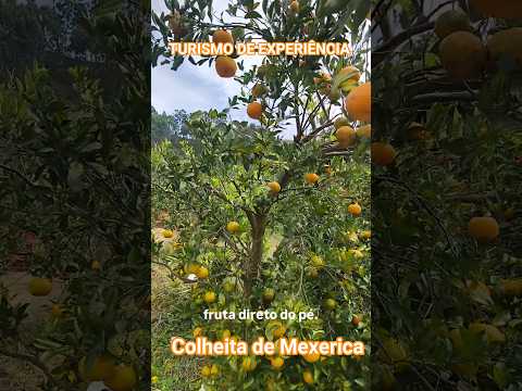 O MELHOR DO TURISMO DE EXPERIÊNCIA    #dicasdeviagem
