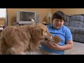 Martha Speaks Who S That Dog Cameo