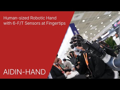 AIDIN Hand Gen1 Review Video 3