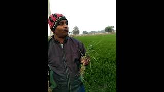 Download lagu 𝐅𝐚𝐫𝐦𝐞𝐫'𝐬 𝐅𝐞𝐞𝐝𝐛𝐚𝐜𝐤 𝐕𝐢𝐝𝐞𝐨 on 𝐊𝐞𝐥𝐩𝐚𝐤 mp3 Download lagu 𝐅𝐚𝐫𝐦𝐞𝐫'𝐬 𝐅𝐞𝐞𝐝𝐛𝐚𝐜𝐤 𝐕𝐢𝐝𝐞𝐨 on 𝐊𝐞𝐥𝐩𝐚𝐤 mp3