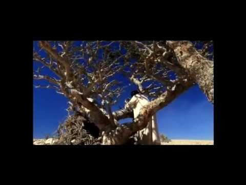 The story of Oman part 1/2