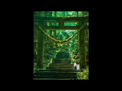 [FREE] (GUITAR) Roddy Ricch x Gunna Type Beat "Cleanse" (prod. waterboy x kxvi)