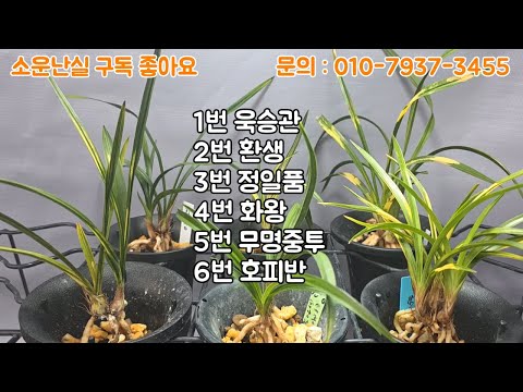 유튜브 썸네일