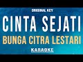 Cinta Sejati - Bunga Citra Lestari (Karaoke) Original Key