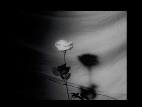 The Radar Station - Silent Face (See Us Change) | Official Video