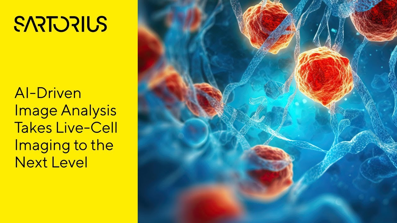 Leveraging AI in Your Live-Cell Imaging: A Comprehensive Guide