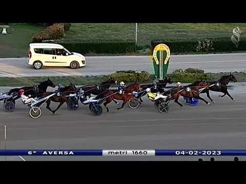 Aversa trotto 4 Febbraio 2023 - 6° Corsa