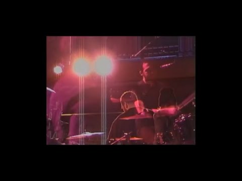 The Messenger Birds - What You Want to Hear (Official Video)