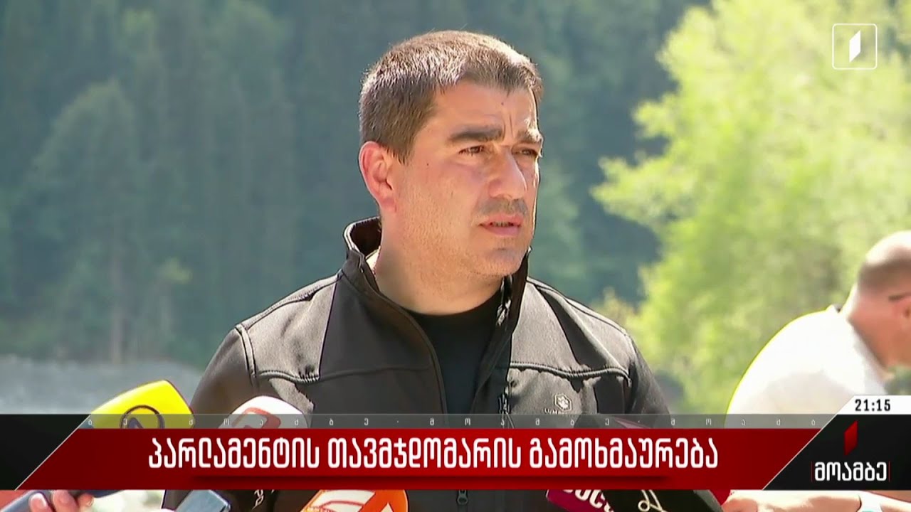 პარლამენტის თავმჯდომარის გამოხმაურება ენტონი ბლინკენის განცხადებაზე