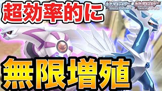 【ダイパリメイク】約5分で超効率的にディアルガ・パルキアを無限増殖する方法を教えます【ブリリアントダイヤモンド・シャイニングパール】