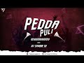 Pedda Puli Nekkinavammo EDM Remix Dj Tushar Tk Kop Edmsong Kannada Djsong