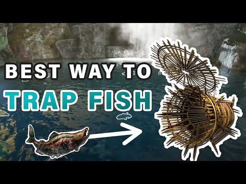 The BEST way to Trap fish with a Fish Basket ► Ark Genesis 2