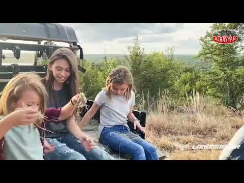 American Landmaster Commercial