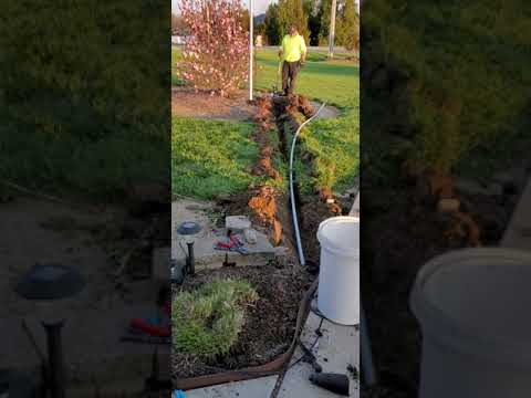 low voltage lighting running a trench for the wire both sides of the yard...