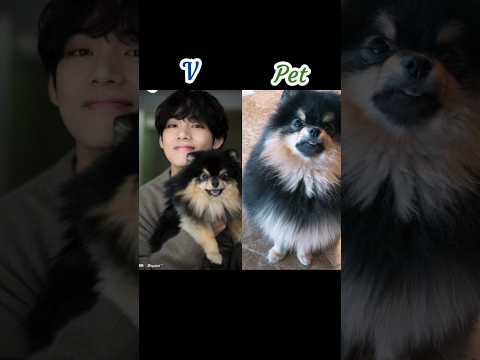 BTS member's with their pets✨ comment your favorite idol name 😍#kpopidolk #jk #rm #jimin #jin #btsv