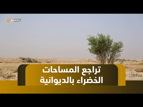 فيديو | مجلس محافظة الديوانية يتحرك لمعالجة تراجع المساحات الخضراء