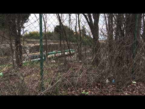 E656.437 + E656.063 sull' ICN 1960 Siracusa/Palermo C.le - Roma T.ni