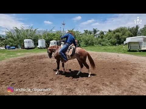 C19P4 THE ROAD TO FUTURITY VIP - Antonio Díaz and José Ramos