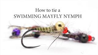 Swimming May Fly Nymph