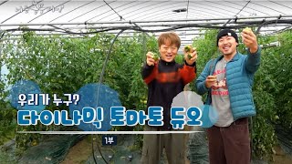 [나는 농부다 349회 1부] 우리가 누구? 다이나믹 토마토 듀오