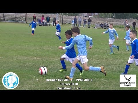 Samenvatting Hermes DVS JO8-1 - PPSC JO8-1