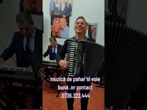 Formatia Stangaciu muzica de pahar