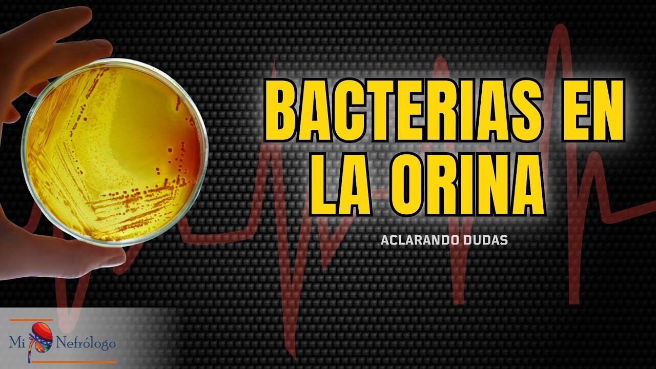 Bacterias en orina