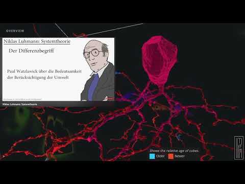 Niklas Luhmann - Systemtheorie