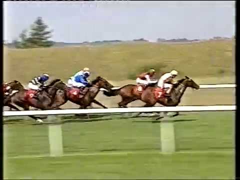 1996 Falmouth Stakes