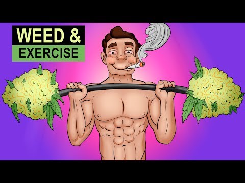 YouTube Video Preview