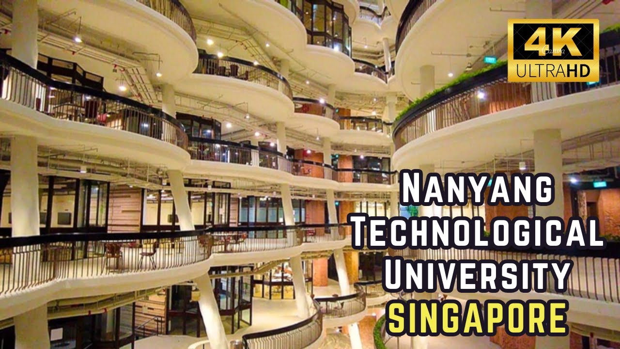 Immersive street-level walking tour through Namyang Danwon, South Korea, showcasing authentic urban landscapes, local architecture, and the vibrant atmosphere of the city's neighborhoods