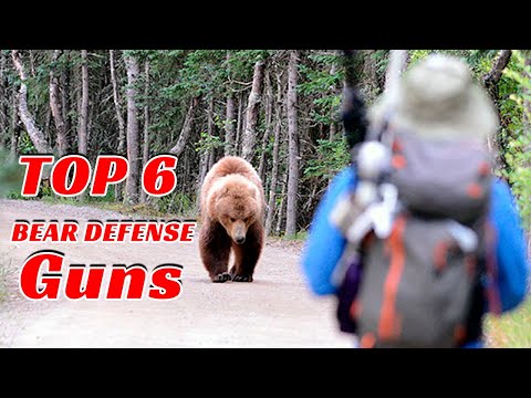 Best Bear Defense Guns Of 2022 Reviews