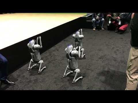 Unitree Go2 Review Video 4
