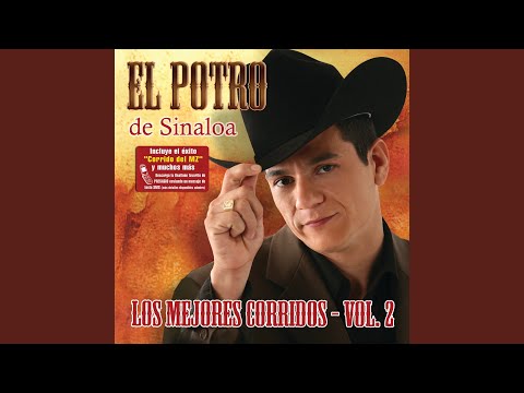 El Cinco Cinco - El Potro De Sinaloa