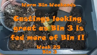 Worm Bin Weekends! Week 25 - Bin 3: Castings looking great as Bin 3 is fed more of Bin 1!