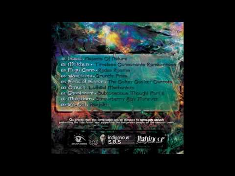 Fractal Error - The Ookey Gookey Carrots