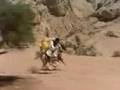 The Young Black Stallion 2003 Part 5 6