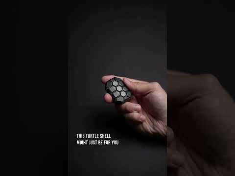 This turtle is faster than you… 🐢