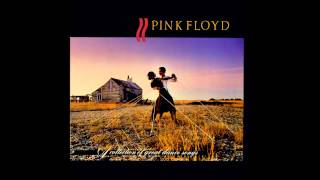 Pink Floyd - Money (1981)