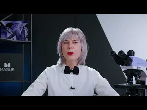 Микроскоп биологический MAGUS Bio 260T