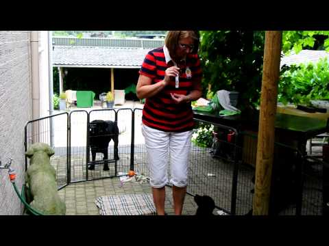 Komen op bevel en AF oefening