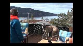 Bear Grillis visits Trollhaugen 29. mars 2014, del 1