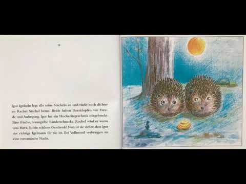 Ein Ein Igeljahr mit Rachel Stachel